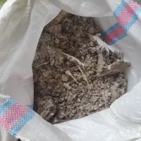 کود کبوتر خشگ ۳۵۰۰۰ت