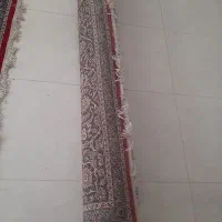 فرش تمام نخ ۱۲ متری|فرش|کرمانشاه, |دیوار