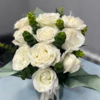 دعوت به همکاری دستیار آرایشگری