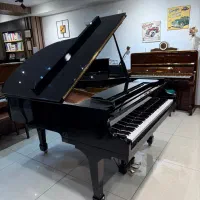 دنیای پیانیست ها