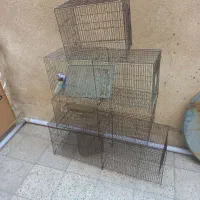 تهعدادی قفس پرون قناری