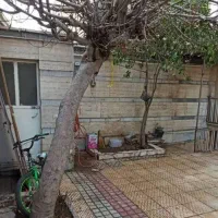 اجاره خانه ویلایی|اجارهٔ خانه و ویلا|تهران, اسفندیاری|دیوار