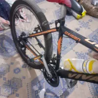 دوچرخه ویوا اصل