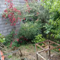 فروش مغازه گارگاه 100 متری در آتشگاه رشت|فروش دفتر صنعتی، کشاورزی، تجاری|رشت, آتشگاه|دیوار