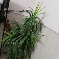 گل مصنوعی باگلدان بزرگ