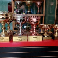 جام طلایی|کلکسیون و سرگرمی|اصفهان, خواجو|دیوار