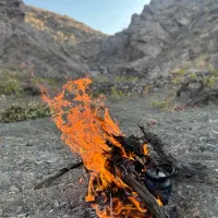 زمین-کشاورزی