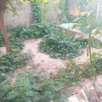 باغ ویلا