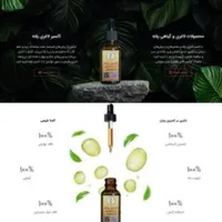 طراحی حرفهای سایت با تخفیف ویژه برای مدت محدود