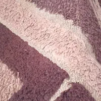 گلیم پرز دار|گلیم، جاجیم، گبه|کرمانشاه, |دیوار