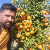 نهالستان مرکبات صاحب الزمان(ع)