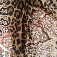 کفش و لباس مجلسی|لباس|مهاباد (آذربایجان غربی), |دیوار