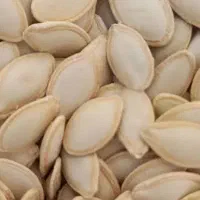 تخمه کدو خام امسالی تازه مال سرحد