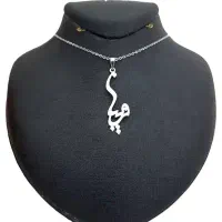 پلاک گردنی نقره|جواهرات|شیراز, شاهچراغ|دیوار