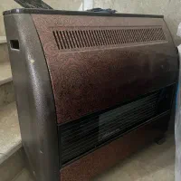 بخاری ادنیس