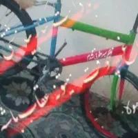 دوچرخه20درحد خشک