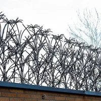 شاخ گوزنی دربهای اکاردونی دراستان یزد تولیدمیشود|خدمات پیشه و مهارت|یزد, |دیوار