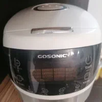 پلوپز و آرام پز گاسونیک 16 کاره