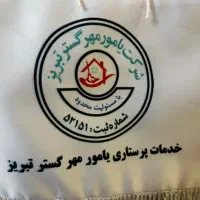 مراقبت از سالمند