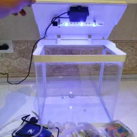 آکواریوم زینتی چراغ دار هفت رنگ|ماهی|اشنویه, |دیوار