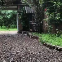 ویلا و سوییت اجاره ای