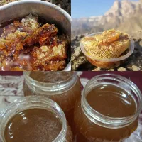 عسل وحشی ۱۰۰ درصد خالص