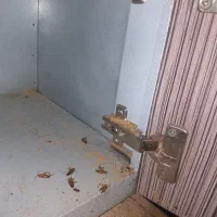 سم مورچه  و سوسک