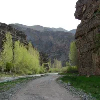 تور و دورهمی مشهدیای باحال|تور و چارتر|مشهد, فتح المبین|دیوار