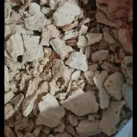 فروش نان خشک