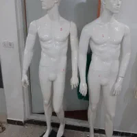 مانکن مردانه|فروشگاه و مغازه|یزد, |دیوار