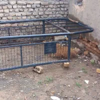 اتاق وانت پیکان