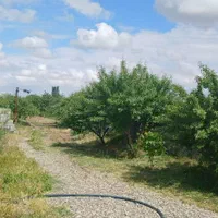 ارائه تمامی فعالیت های باغبانی و نگهداری|خدمات باغبانی و درختکاری|تبریز, |دیوار