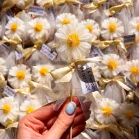 شمع گل بابونه|صنایع دستی و سایر لوازم تزئینی|میبد, |دیوار