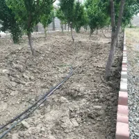 باغ-900-متری