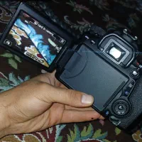 دوربین دیجیتالی کانن|دوربین عکاسی و فیلمبرداری|الیگودرز, |دیوار