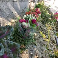 اجاره ویلا باغ شیک و مجهز با قیمت مناسب|اجارهٔ کوتاهمدت ویلا و باغ|ارومیه, |دیوار