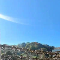 فروش ۱۹۰ متر زمین شهری