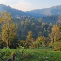 فروش زمین دو هزار متری با ویوی ۳۶۰|فروش زمین و ملک کلنگی|سیاهکل, |دیوار