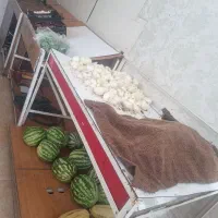 استند میوه