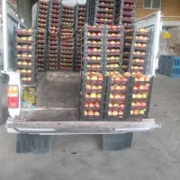 فروش نیسان مدل ۸۵|خودرو سواری و وانت|داران, |دیوار