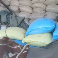 گندم دهشت وشبرنگ ۵۰ کیسه بوجاری شده