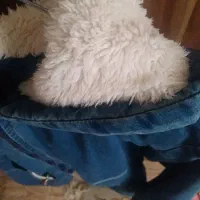 مانتو لی|لباس|رشت, ترمینال|دیوار