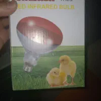 لامپ مادون قرمز 250|لامپ و چراغ|شاهین‌شهر, دکتر حسابی|دیوار