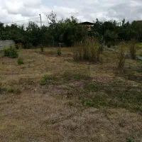 328 متر مربع زمین مسکونی در شمال|فروش زمین و ملک کلنگی|قائمشهر, |دیوار