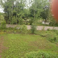 ویلای باغ ۲ هزار متری جاده ماسال|فروش خانه و ویلا|طاهرگوراب, |دیوار