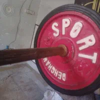 دستگاه هالتر