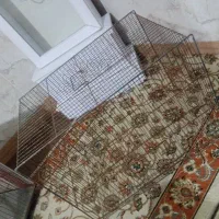 دوعدد قفس سایز بزرگ