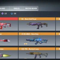 اکانت هالیدی