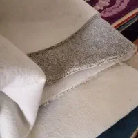پالاز موکت طوسی