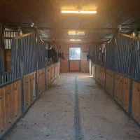 نیازمند کارگر